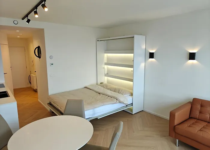 Zeezicht Mariakerke 公寓 奥斯滕德